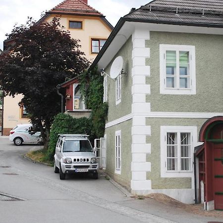 Fewo Gabi Haus Pacher Sankt Peter am Kammersberg المظهر الخارجي الصورة