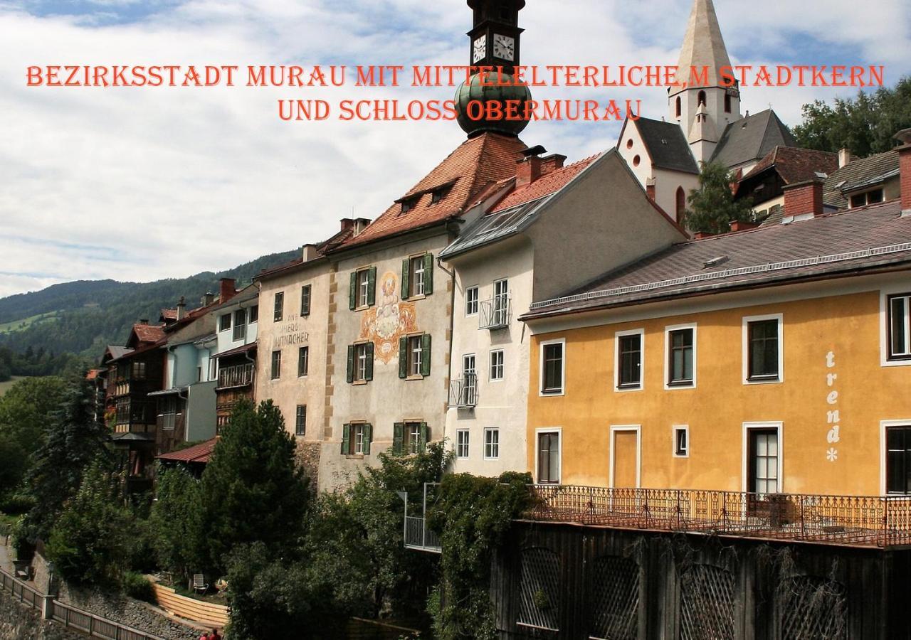 Fewo Gabi Haus Pacher Sankt Peter am Kammersberg المظهر الخارجي الصورة