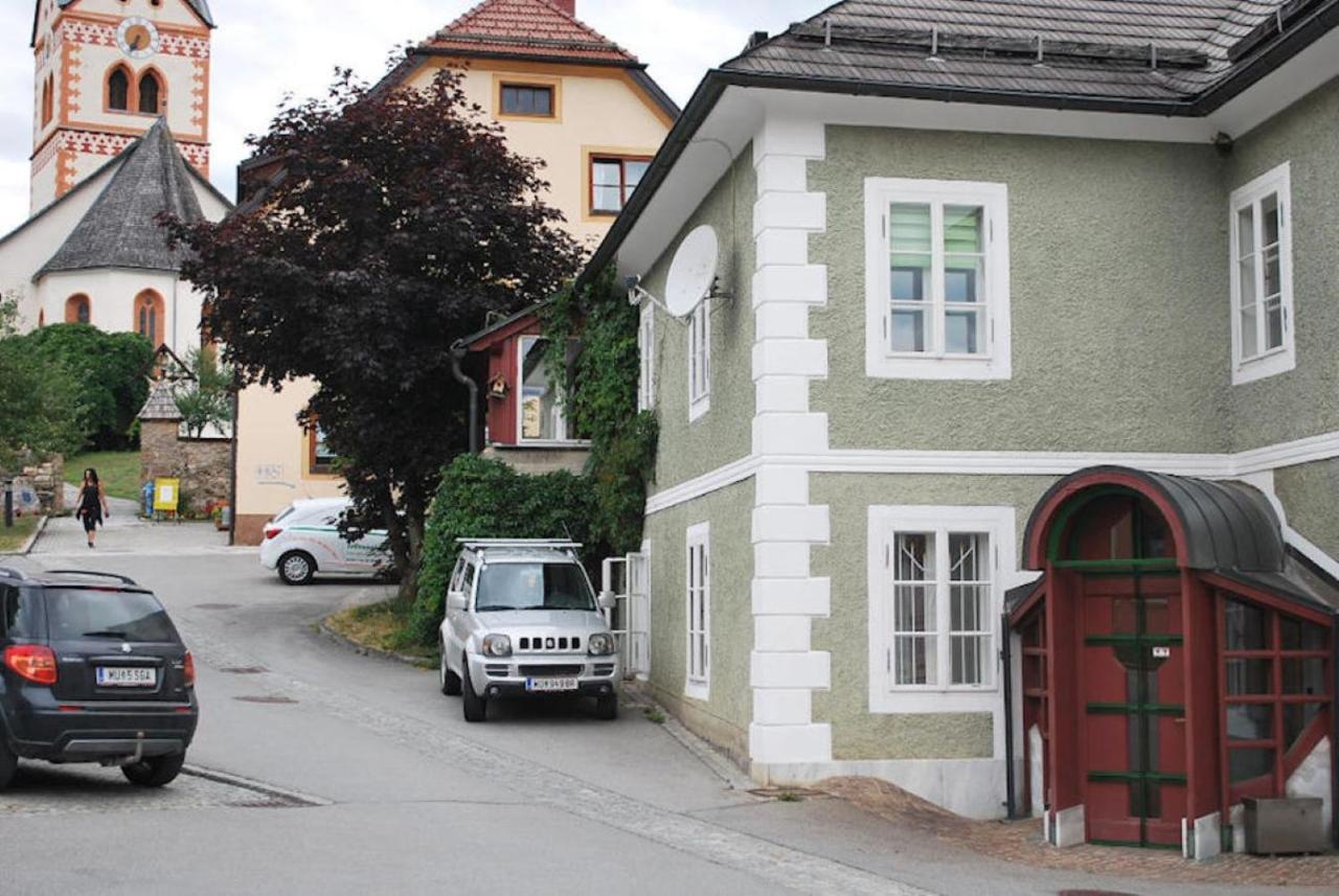 Fewo Gabi Haus Pacher Sankt Peter am Kammersberg المظهر الخارجي الصورة